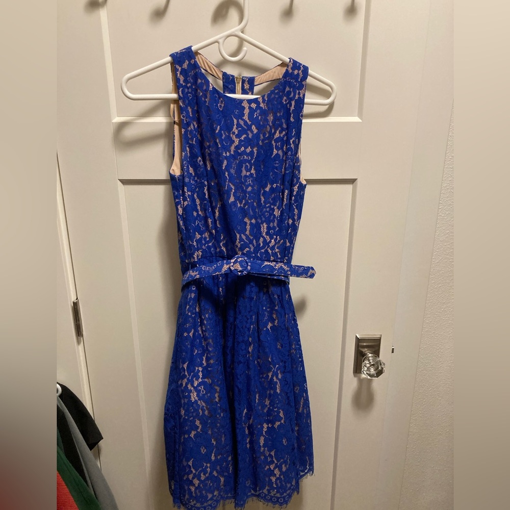 Eliza J Royal Blue Lace Belted Midi Dress